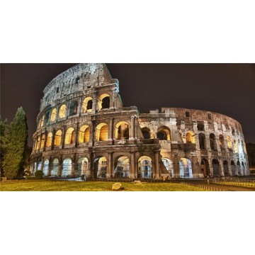 Colosseum Photo License Plate