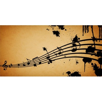 Music Notes Photo License Plate