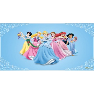 Princesses Photo License Plate