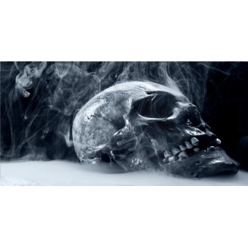 Steamy Skull Photo License Plate