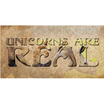 Unicorns Are Real Photo License Plate