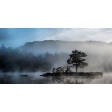 Foggy Scene Photo License Plate