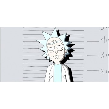 Rick And Morty Photo License Plate