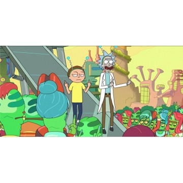 Rick And Morty #3 Photo License Plate