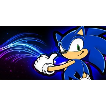 Sonic #2 Photo License Plate