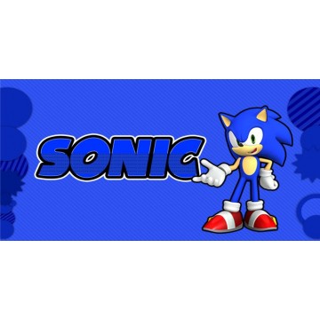Sonic #3 Photo License Plate