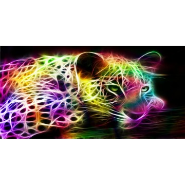 Rainbow Tiger Photo License Plate