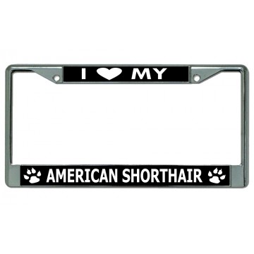 I Love My American Shorthair Cat Chrome License Plate Frame