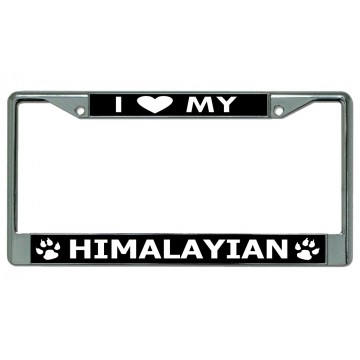 I Love My Himalayan Cat Chrome License Plate Frame