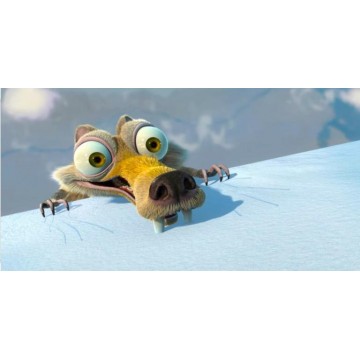 Ice Age Squirrel Photo License Plate 