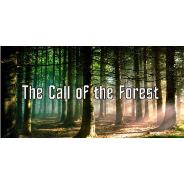 Call Of The Forest Photo License Plate