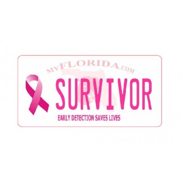 MyFlorida.com Breast Cancer Survivor Photo License Plate