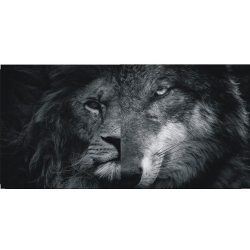 Half Lion Half Wolf Photo License Plate