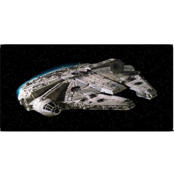 Millenium Falcon Photo License Plate 