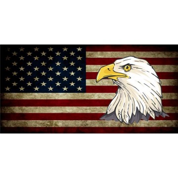U.S. Flag Worn With Eagle Photo License Plate 