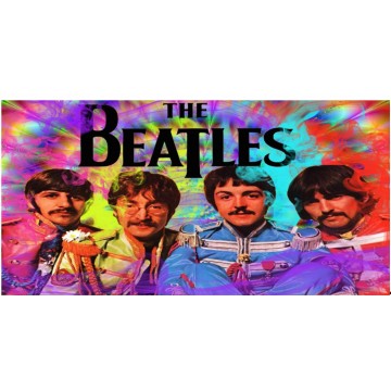 The Beatles #4 Photo License Plate 