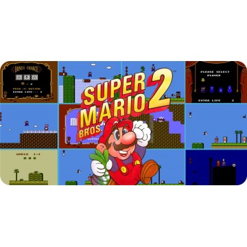 Super Mario Brothers 2 Photo License Plate