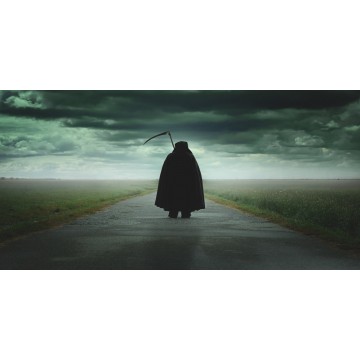 Reaper Photo License Plate