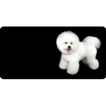 Bichon Frise Dog Photo License Plate