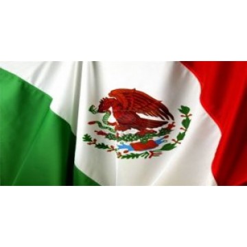 Mexican Flag Waving Photo License Plate
