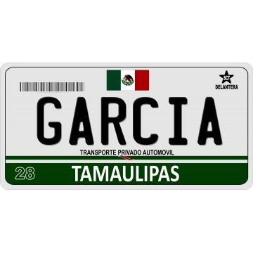 Mexico Tamaulipas Photo License Plate 