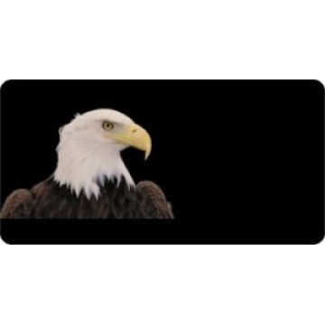 Offset Bald Eagle on Black Photo License Plate