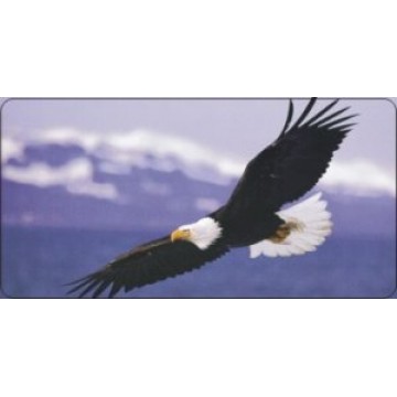 Soaring Eagle on Clouds Photo License Plate