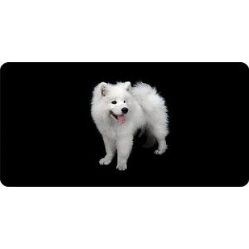 Samoyed Dog On Black Photo License Plate 