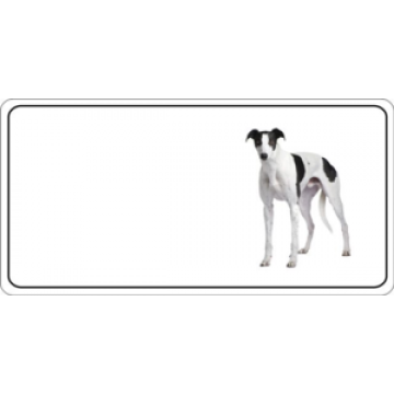 Greyhound Dog Photo License Plate 