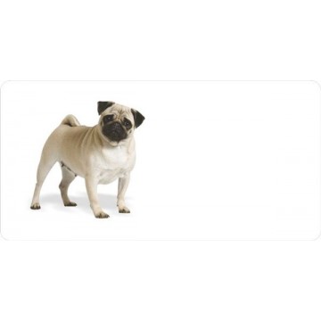 Pug Offset Photo License Plate 