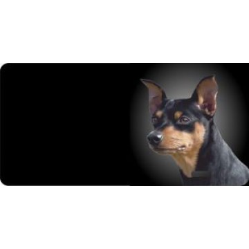 Miniature Pinscher Dog Photo License Plate 