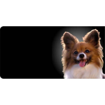 Papillon Dog Photo License Plate 
