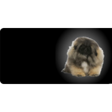 Pekinese Dog Photo License Plate 