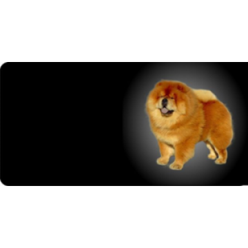 Chow Dog Photo License Plate  