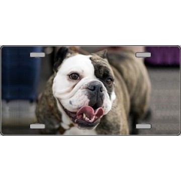 Bulldog With Tongue MetalLicense Plate 