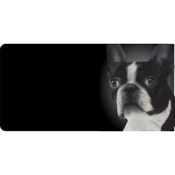 Boston Terrier Dog Photo License Plate 