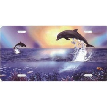Dolphins Jumping License Plate 