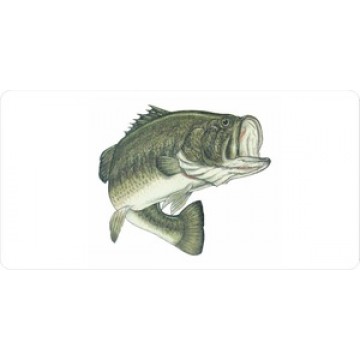 Large Mouth Bass Centered On White Photo License Plate