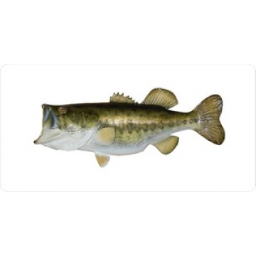Large Mouth Bass Mounted On White License Plate 