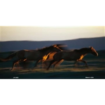 Horses Running At Dawn Metal License Plate 