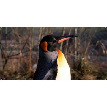 Penguin Head Photo License Plate