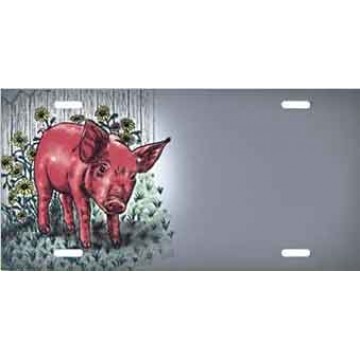 Pig Offset License Plate 