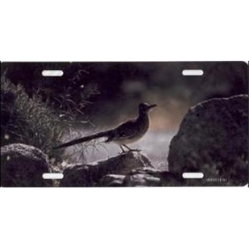 Roadrunner Photo License Plate 