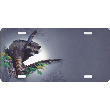 Raccoon Airbrush License Plate 